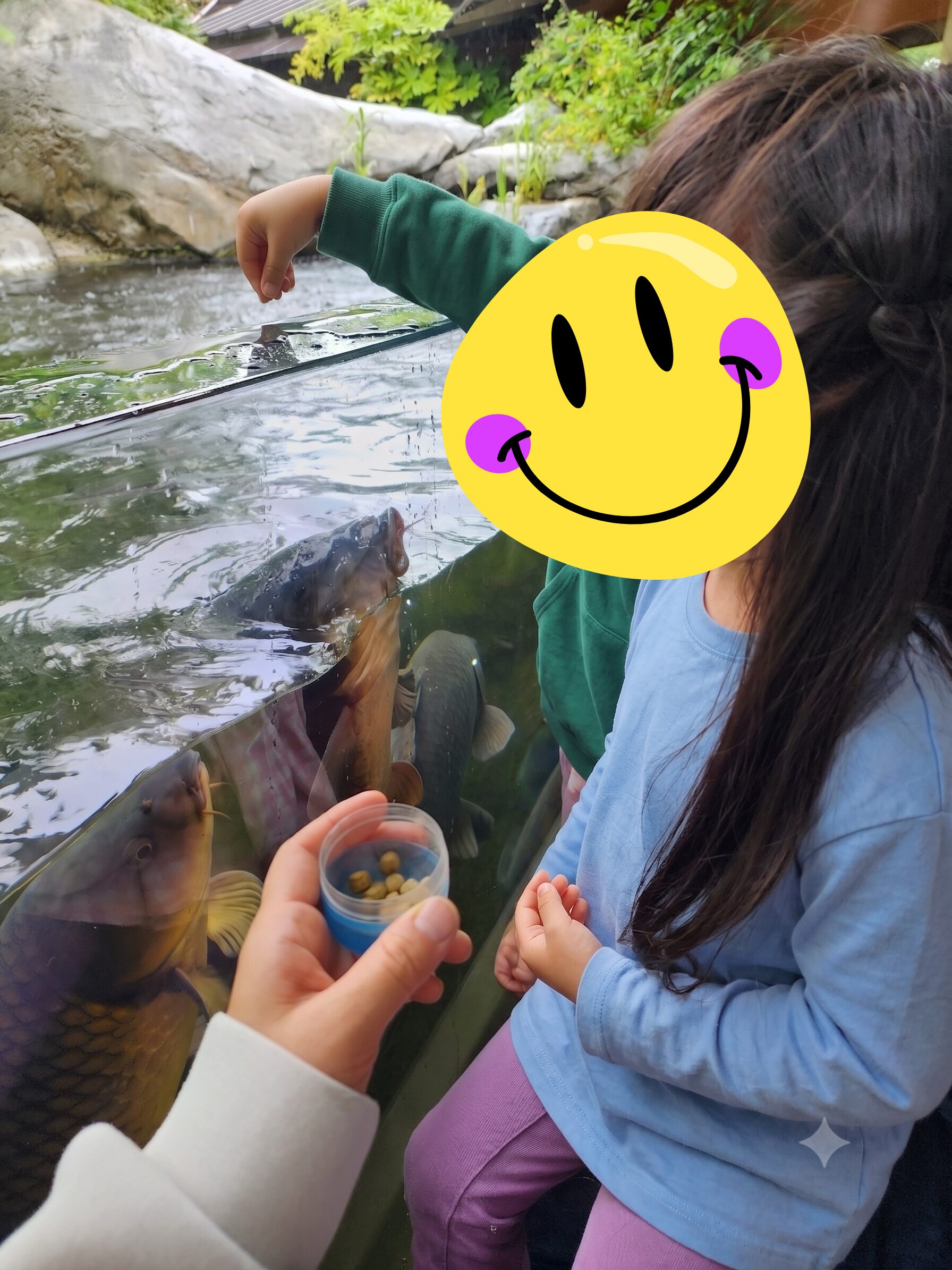 川の生きものコーナーでお魚に夢中