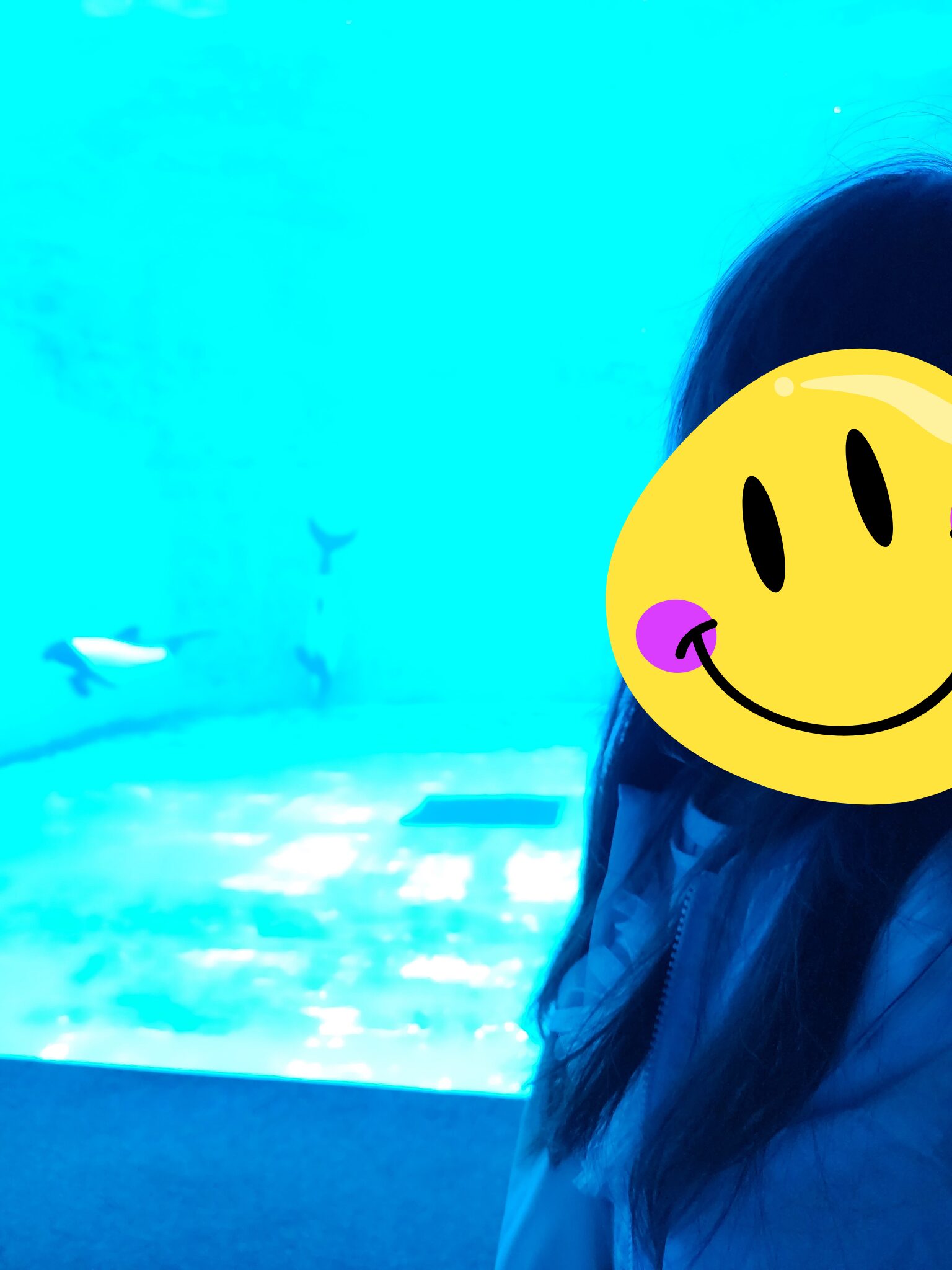 青い光に包まれた幻想的な水槽